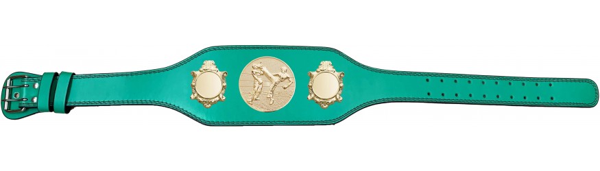 KICKBOXING CHAMPIONSHIP TITLE BELT-BUD003/G/KBOG -IN 4 COLOURS
